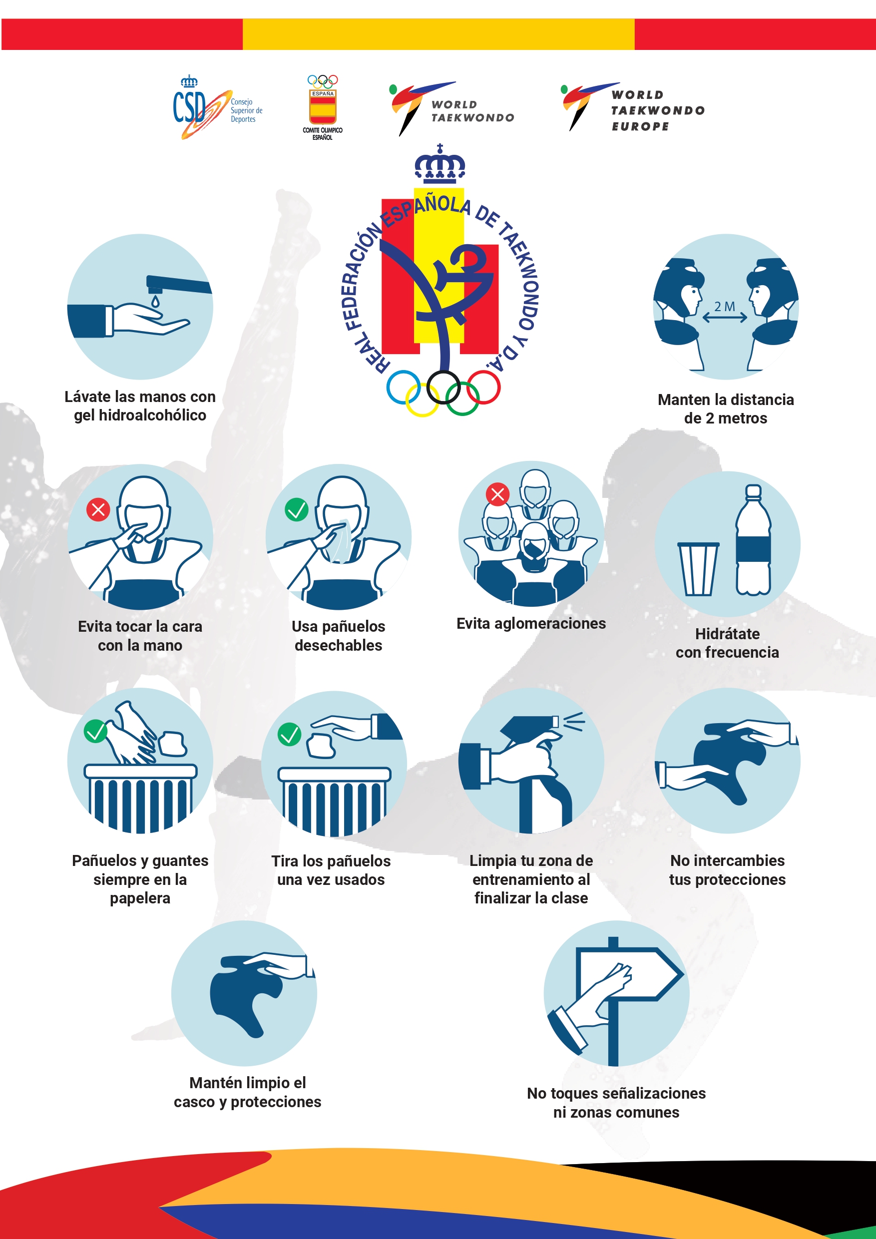 CARTEL ICONOS RECOMENDACIONES R.F.E.T.